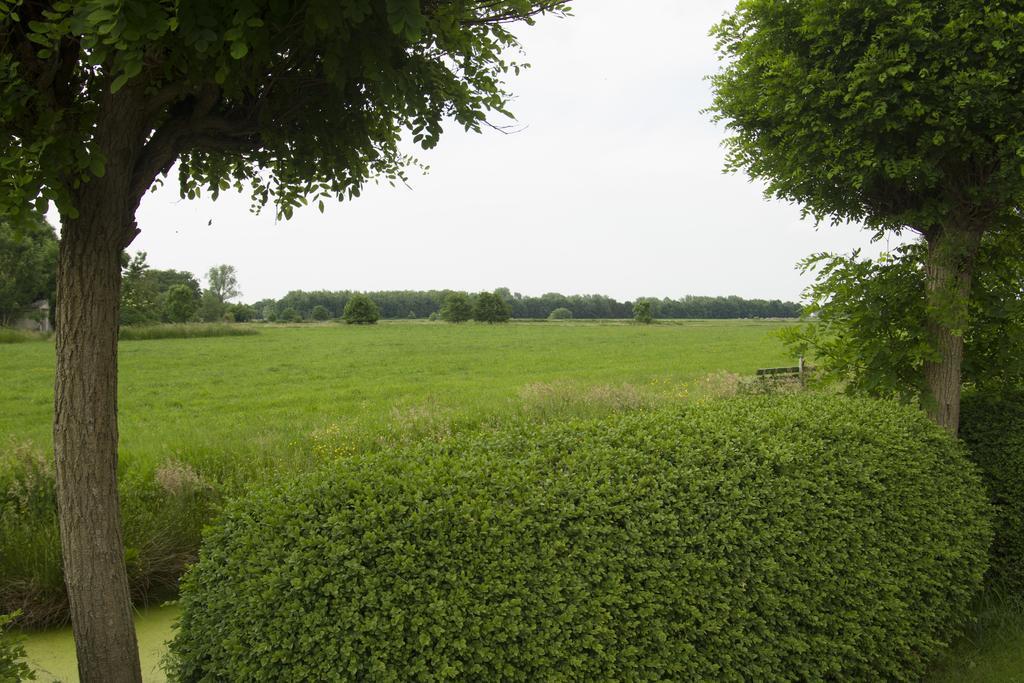 Betty Ferienhaus